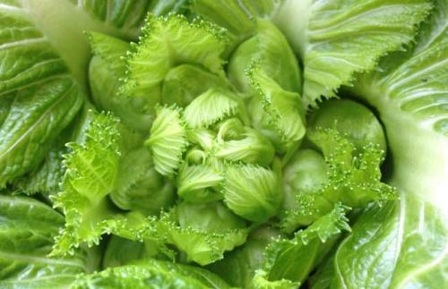 王铮亮献唱央视光荣绽放 青年作曲家声乐作品音乐会:008pg国际官网版(图1) pg国际008国际官网