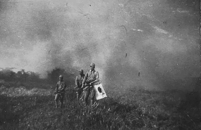 008pg国际官网版